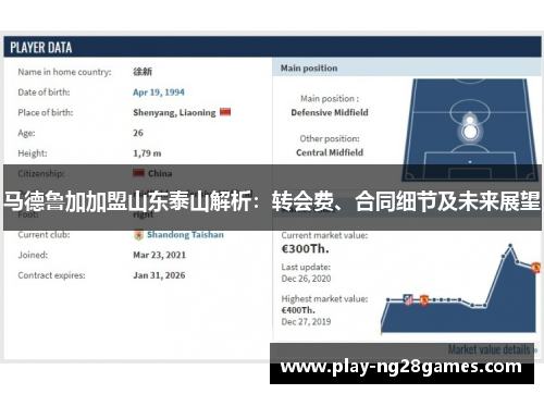 马德鲁加加盟山东泰山解析：转会费、合同细节及未来展望